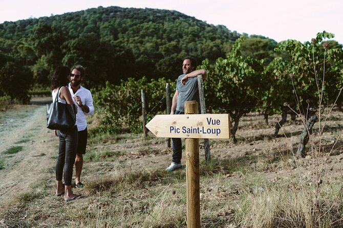 Winetour & Food Experience in Pic St Loup - Homemade Lunch With Winemaker