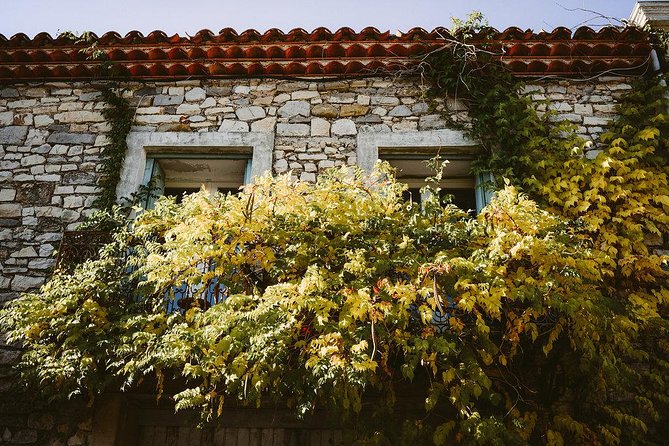 Winetour & Food Experience in Pic St Loup - Cancellation Policy