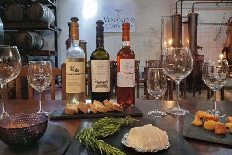 WineTour - Order of Santiago - Palmela - Wine Tasting Experiences