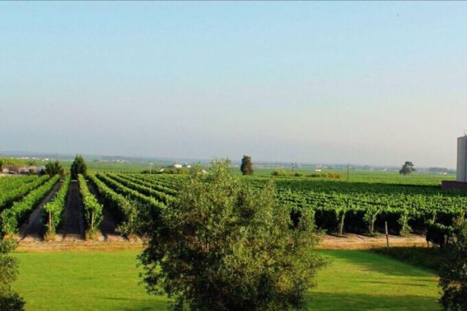 WineTour - Order of Santiago - Palmela - Scenic Views