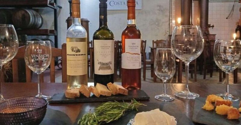 WineTour - Order of Santiago - Palmela - Wine Tasting Experiences