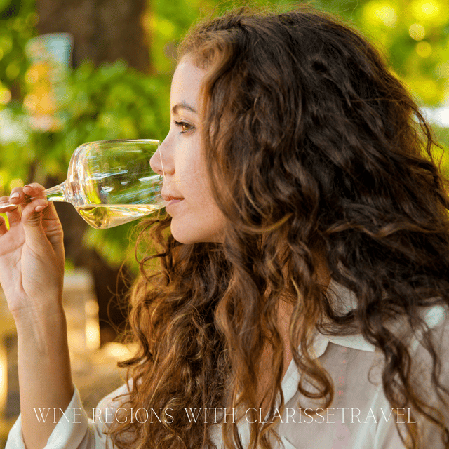 WineTourism Wine Tour Wine Tasting Wineries Visit - Reservation and Pricing