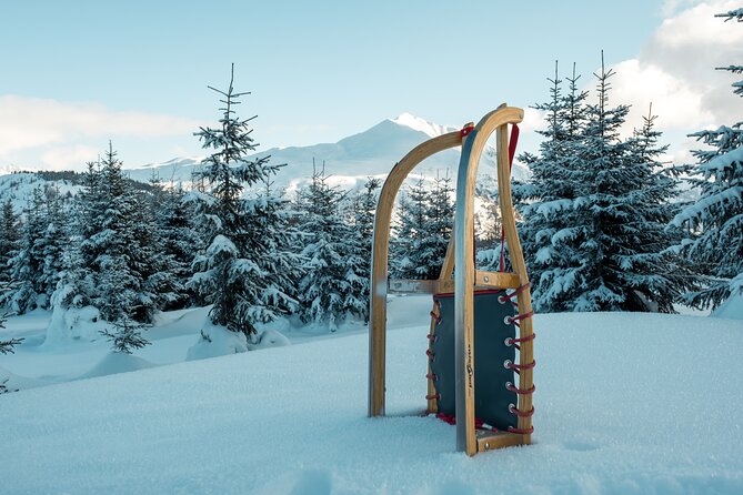 Winter Adventure Day in Mountains: Quad Bikes, Sledge, Wellness - Since You Asked