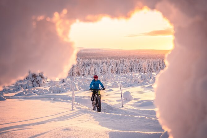 Winter Afternoon Group Ride in Saariselkä - Additional Information