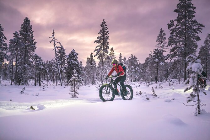 Winter Afternoon Group Ride in Saariselkä - Booking Assistance