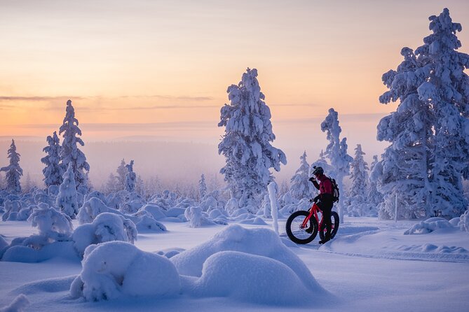 Winter Afternoon Group Ride in Saariselkä - Guest Feedback