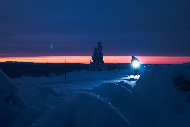 Winter Afternoon Group Ride in Saariselkä - Group Size