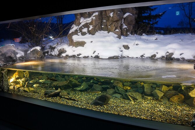 Winter BBQ With the Northern Land Aquarium & Fox Farm in Kitami - Key Points