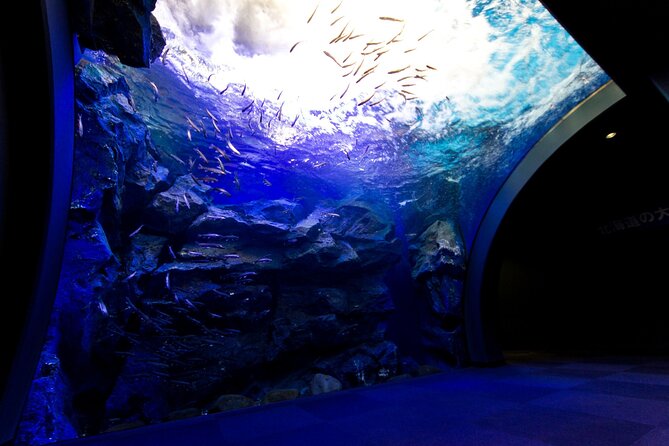 Winter BBQ With the Northern Land Aquarium & Fox Farm in Kitami - Exploring the Northern Land Aquarium