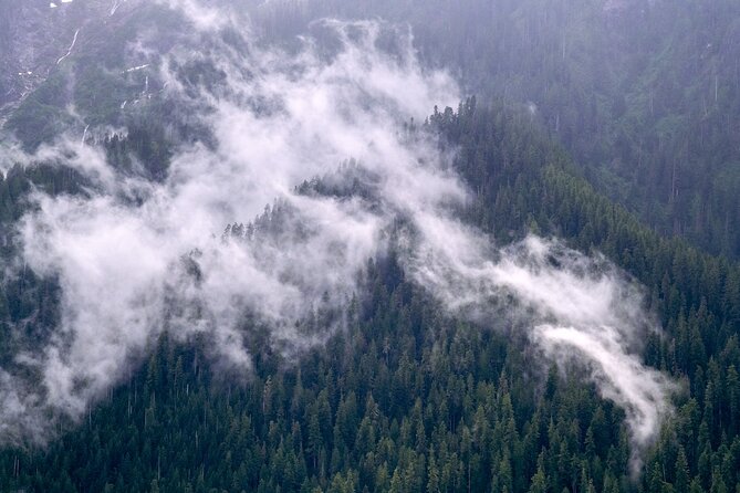 Winter Day Tour to Longmire on Mount Rainier From Seattle - Comfortable Transportation and Dining Options