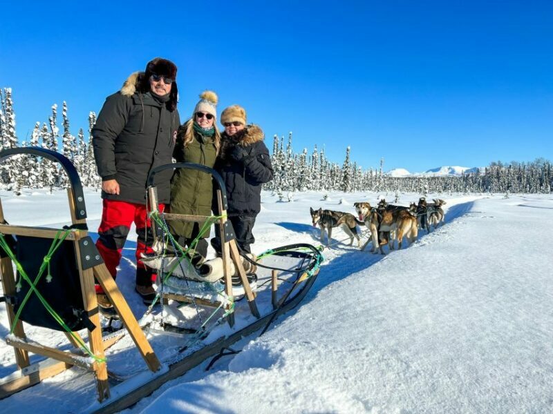 Winter Dog Sled Tour Day or Night Mush! - An In-Depth Look at the Tour Experience