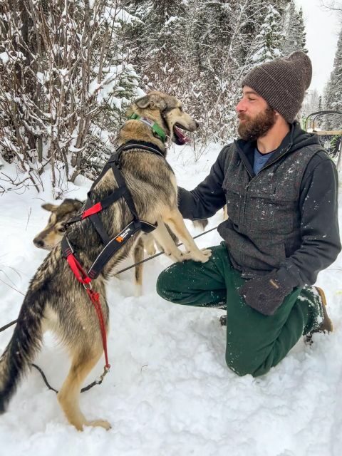 Winter Dog Sled Tour Day or Night Mush! - Practical Considerations