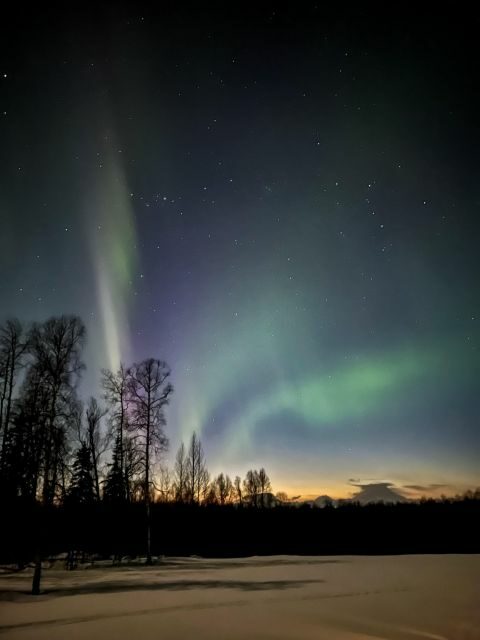 Winter Dog Sled Tour Day or Night Mush! - Who Will Love This Tour?