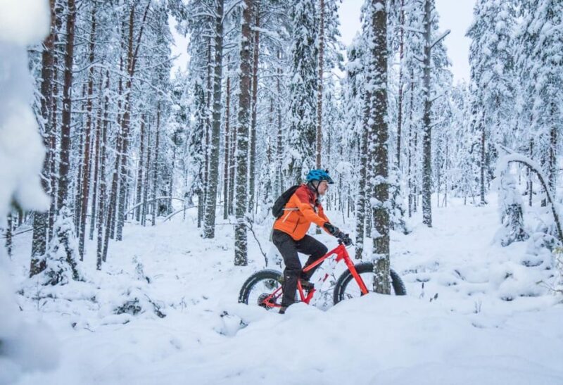 Winter Electric Fat Bike Experience - Snowy Forest Exploration