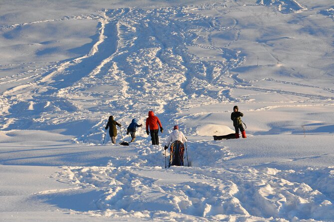 Winter Family Fun Day in Palmer Alaska - Booking and Cancellation Details