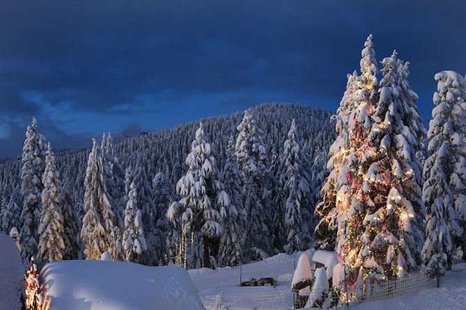 Winter Fun at North Shore Mountains- Grouse, Seymour & Cypress - Inclusions and Exclusions