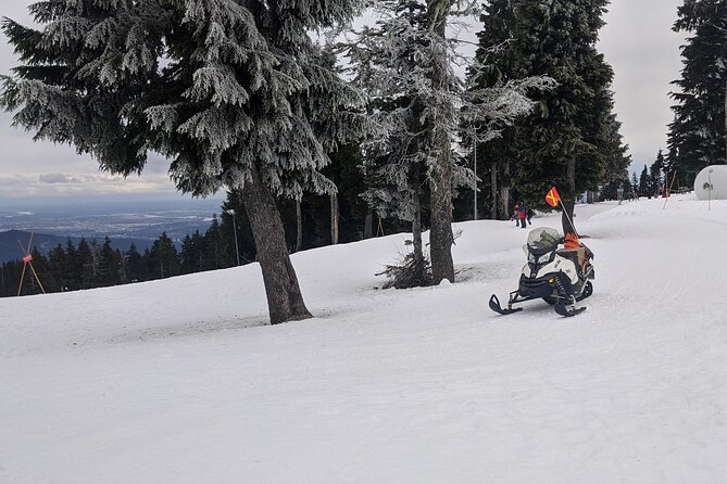 Winter Fun at North Shore Mountains- Grouse, Seymour & Cypress - Tour Operator and Guarantees