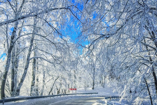 Winter Fun for Families: Sabaduri, Ananuri, Gudauri Adventure - Key Points