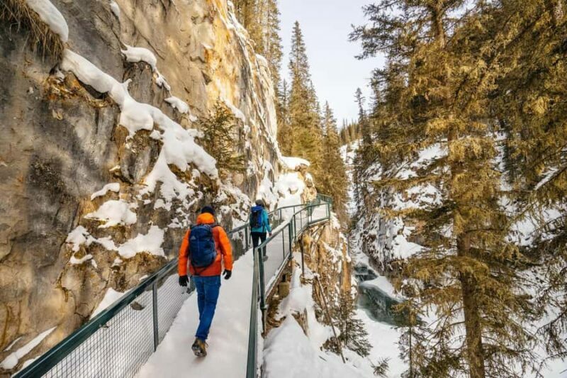 Winter Hikes, Gondolas, and Banff Day Trip - A Complete Look at the Day Trip Experience