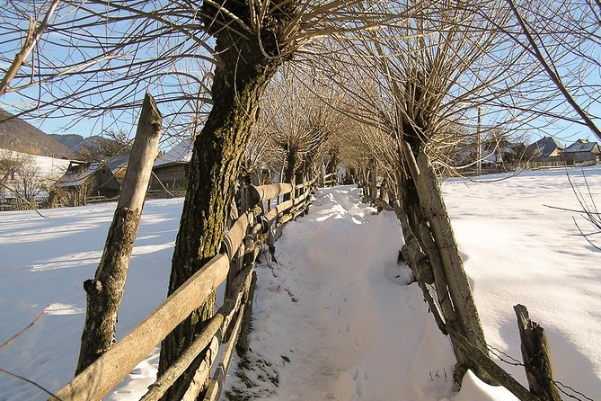 Winter Hiking Tour Carpathian Mountains - Accommodation Details