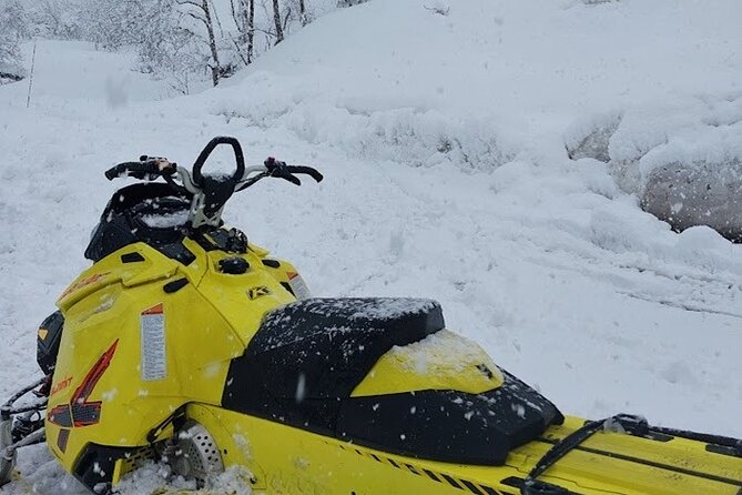 Winter Holiday Snowmobiling in Nozawa Onsen Area - Key Points