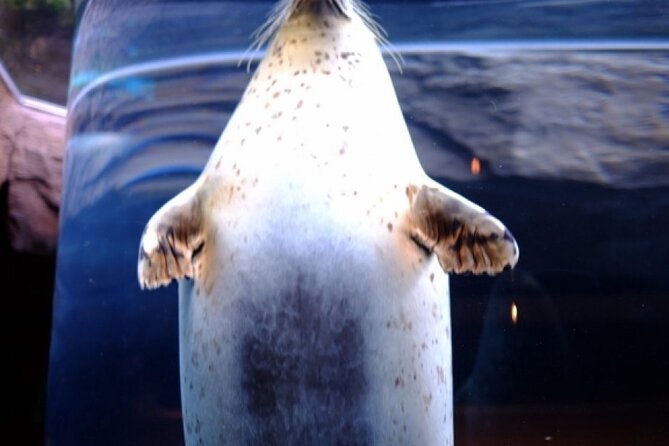 Winter in Hokkaido! Visit Asahiyama Zoo, the Frozen Ice Sea and Sunset Cruise - Important Information and Conditions