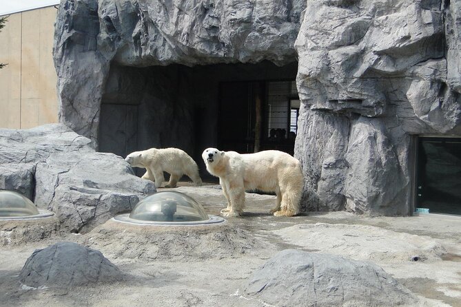 Winter in Hokkaido! Visit Asahiyama Zoo, the Frozen Ice Sea and Sunset Cruise - Exploring the Frozen Ice Sea