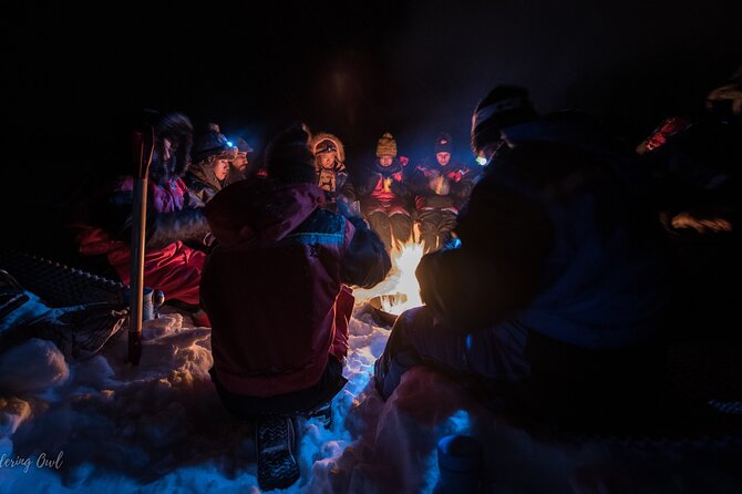 Winter Night Campfire With Chances of Seeing Northern Lights - Campfire Cooking and Pinnebrod