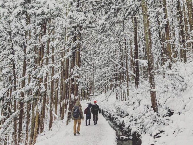 Winter Only From Nozawa Onsen: Snow Monkeys, Zenko-ji & Sake - Frequently Asked Questions