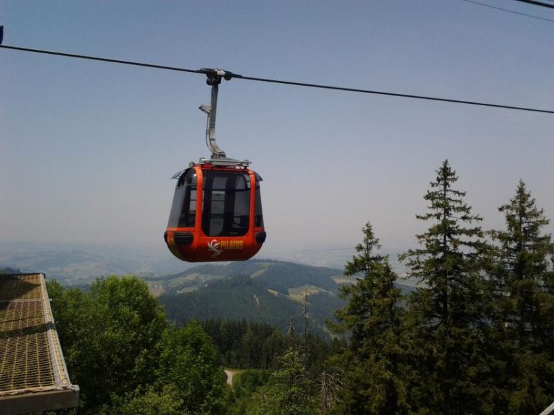 Winter Panorama Mount Pilatus: Small Group Tour From Basel - Highlights