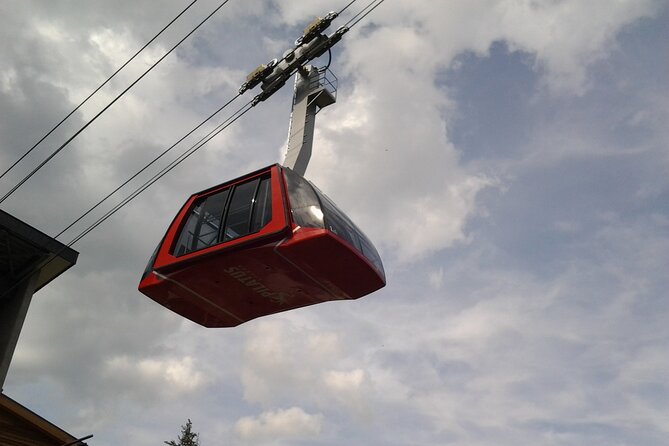 Winter Panorama Mount Pilatus: Small Group Tour From Luzern - Inclusions and Highlights