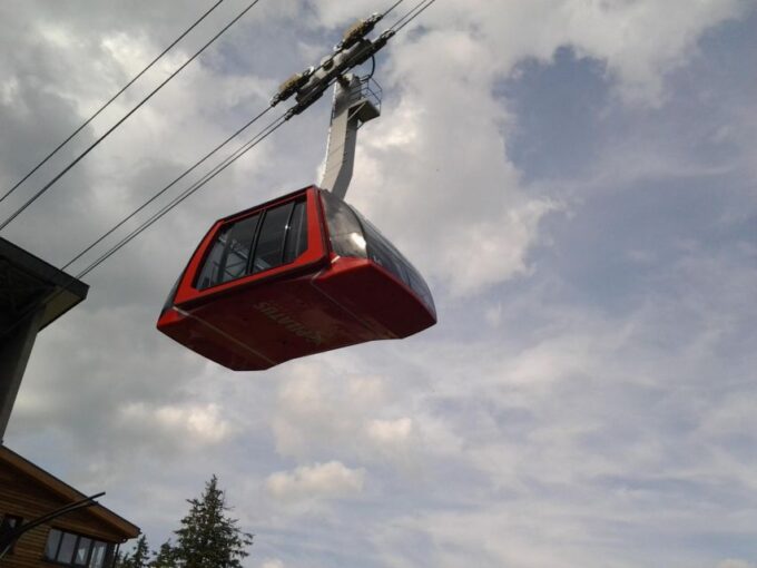 Winter Panorama Mount Pilatus: Small Group Tour From Luzern - Enjoying the Alpine Charm