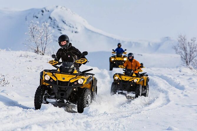 Winter Quad Bike Ride in the Arctic Circle From Rovaniemi - Cultural and Ecosystem Insights