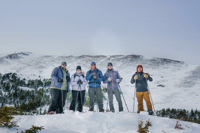Winter Snowshoeing Adventure - Wildlife Spotting Opportunities