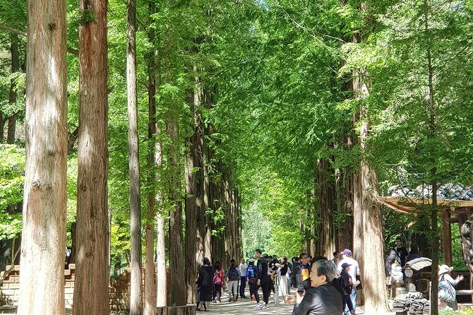 Winter Sonata TV Tour on Nami Island from Seoul - Analyzing the Value