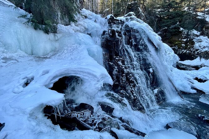 Winter Valley and Forest Hike - Fitness and Participation Requirements