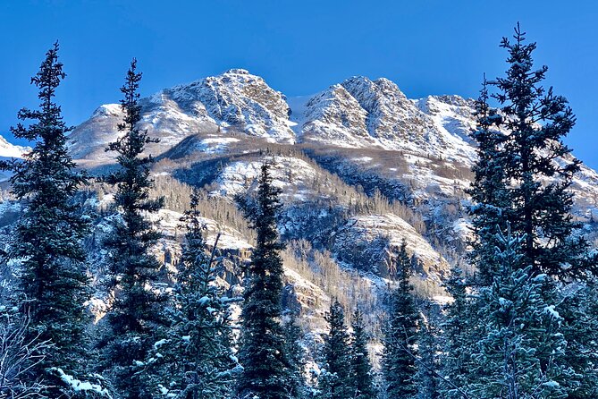 Winter Valley and Forest Hike - Wildlife Sightings
