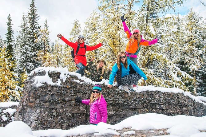 Winter Wildlife Discovery Tour - Seasonal and Weather Considerations