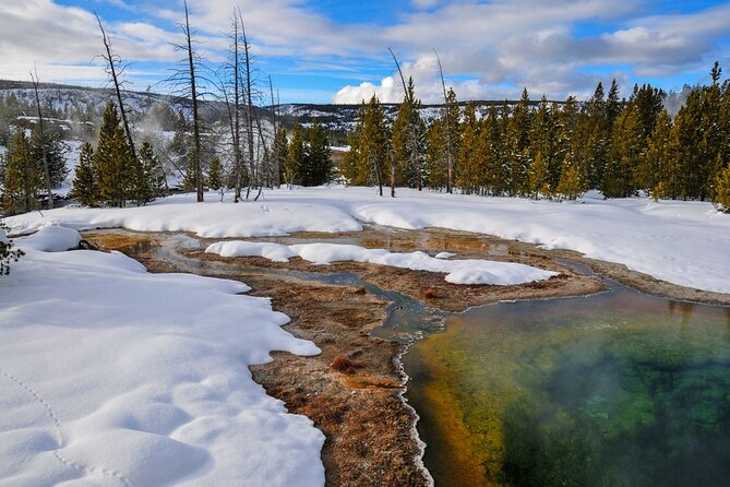 Winter Wildlife Safari in Yellowstone National Park - Safety and Health Considerations