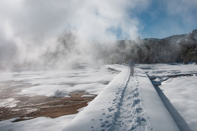 Winter Wildlife Safari in Yellowstone National Park - Booking Your Winter Safari Experience