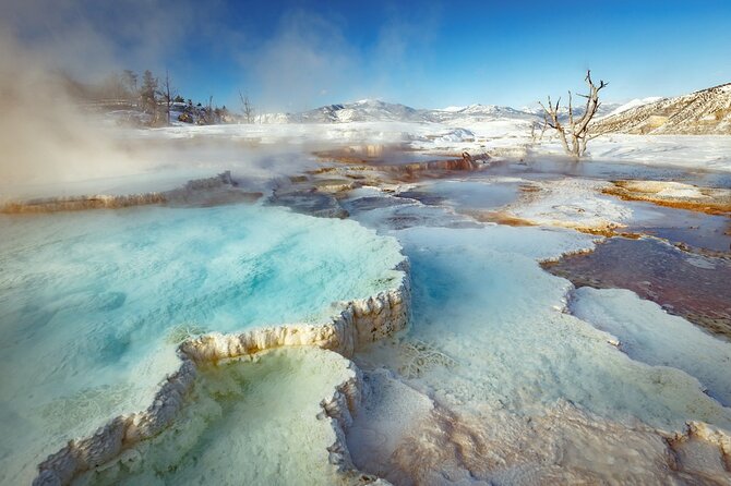 Winter Wildlife Safari in Yellowstone National Park - Frequently Asked Questions