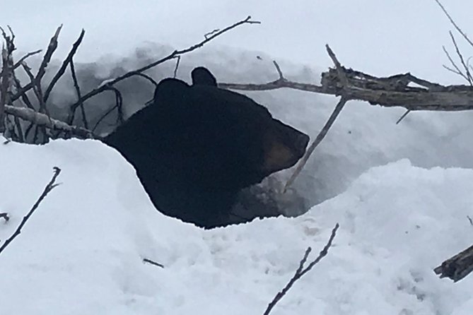 Winter - Wildlife & Turnagain Arm Tour - Group Size