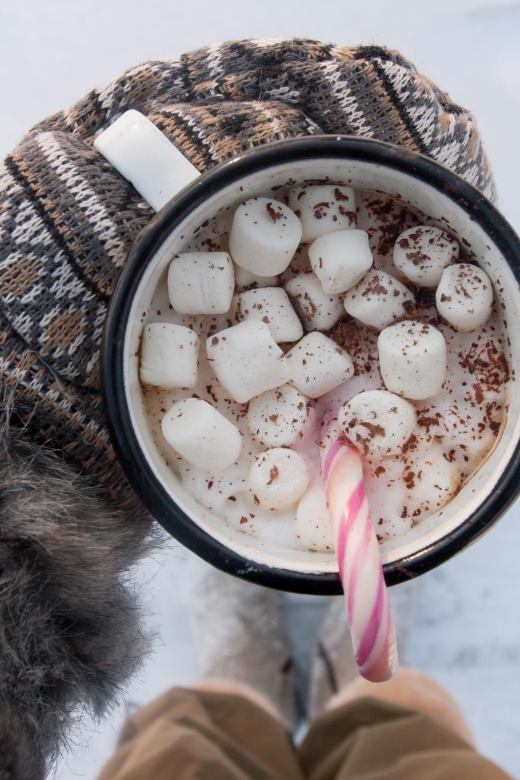 Winter Wonderland Escape: Mt. Charleston - Dress Code and Recommendations