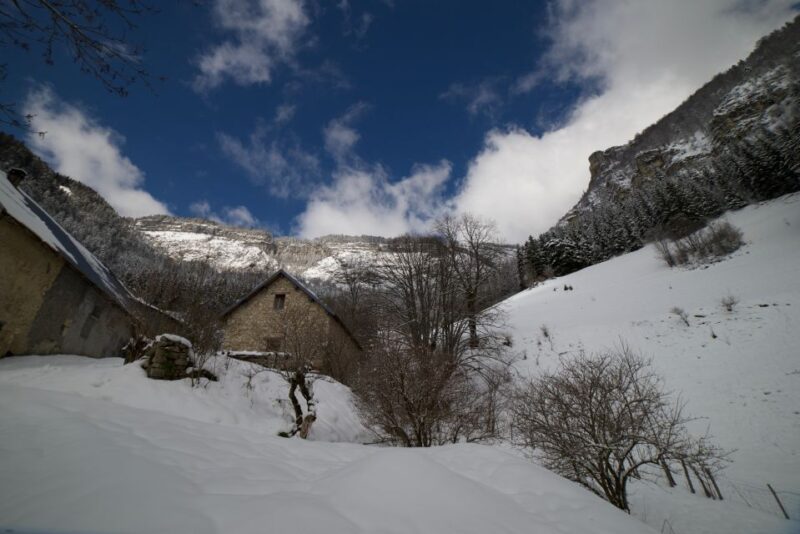 Winter Wonderland Expedition, Snowshoe Journey Into the Wild - Snowshoeing Through Snowy Landscapes