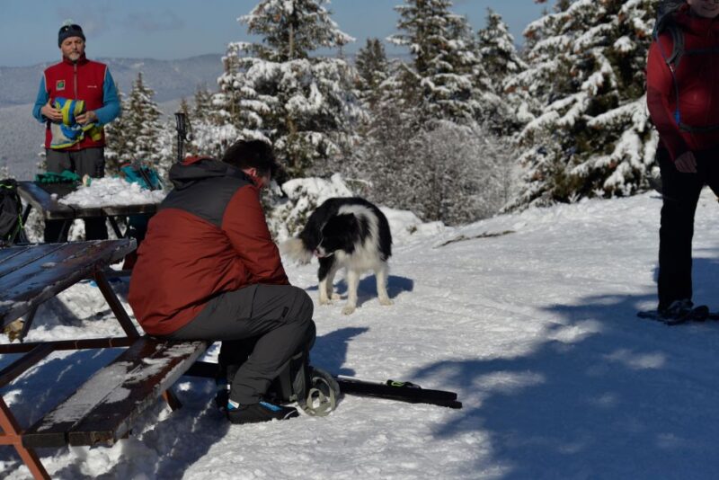 Winter Wonderland Expedition, Snowshoe Journey Into the Wild - Frequently Asked Questions