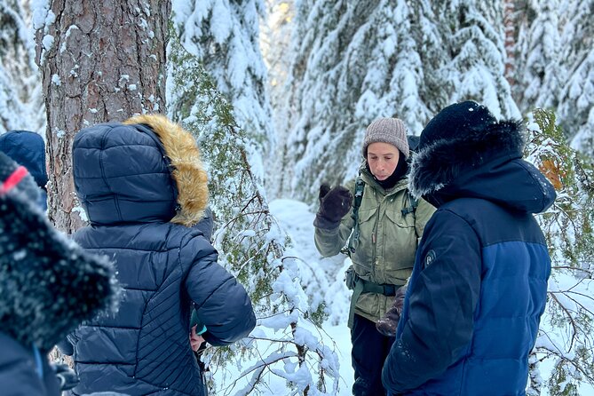 Winter Wonderland Hike in a National Park - Meeting Point and Start Time
