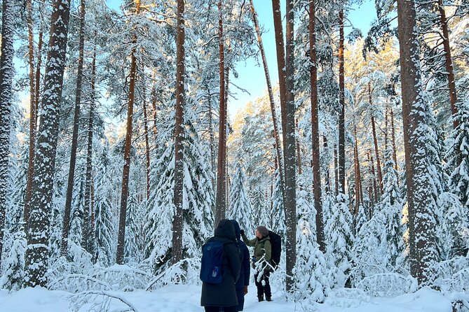 Winter Wonderland Hike in a National Park - Accessibility and Participation Considerations