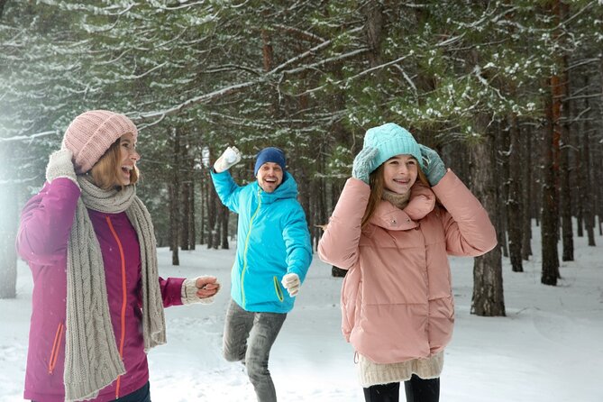 Winter Wonderland Walk: Buffalo's Festive Highlights - Visiting the Historic Five Towers