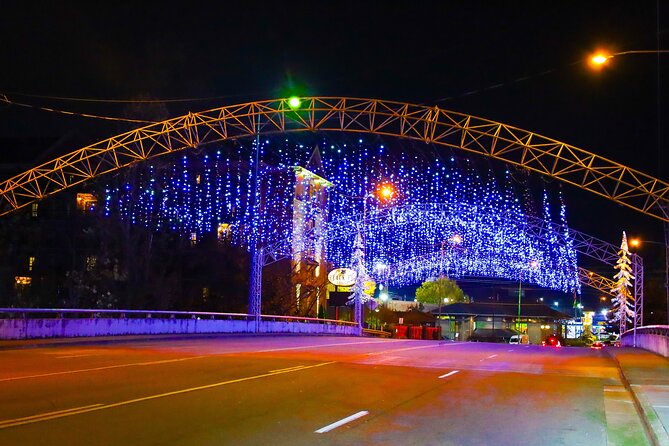 Winterfest Scenic Evening Tour - Accessibility and Participation