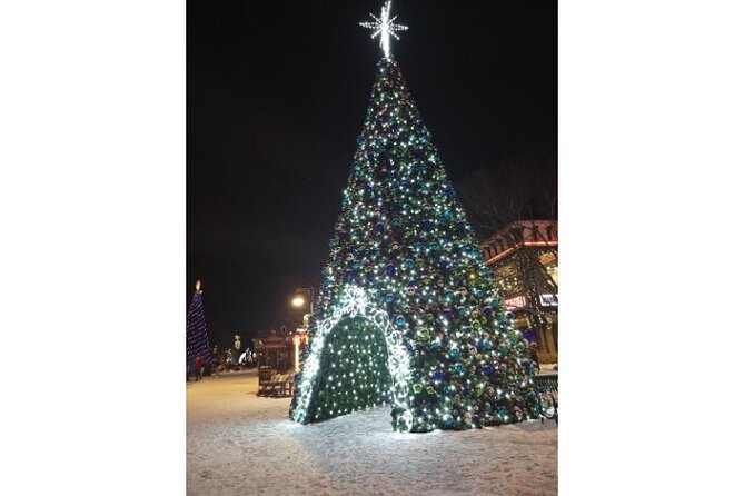 Winterfest Scenic Evening Tour - Reviews and Ratings